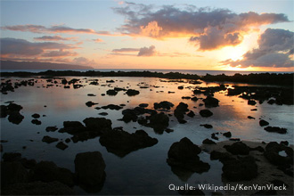 Sonnenuntergang ber Shark's Cove, Oahu, Hawai'i (Quelle: Wikipedia/KenVanVleck